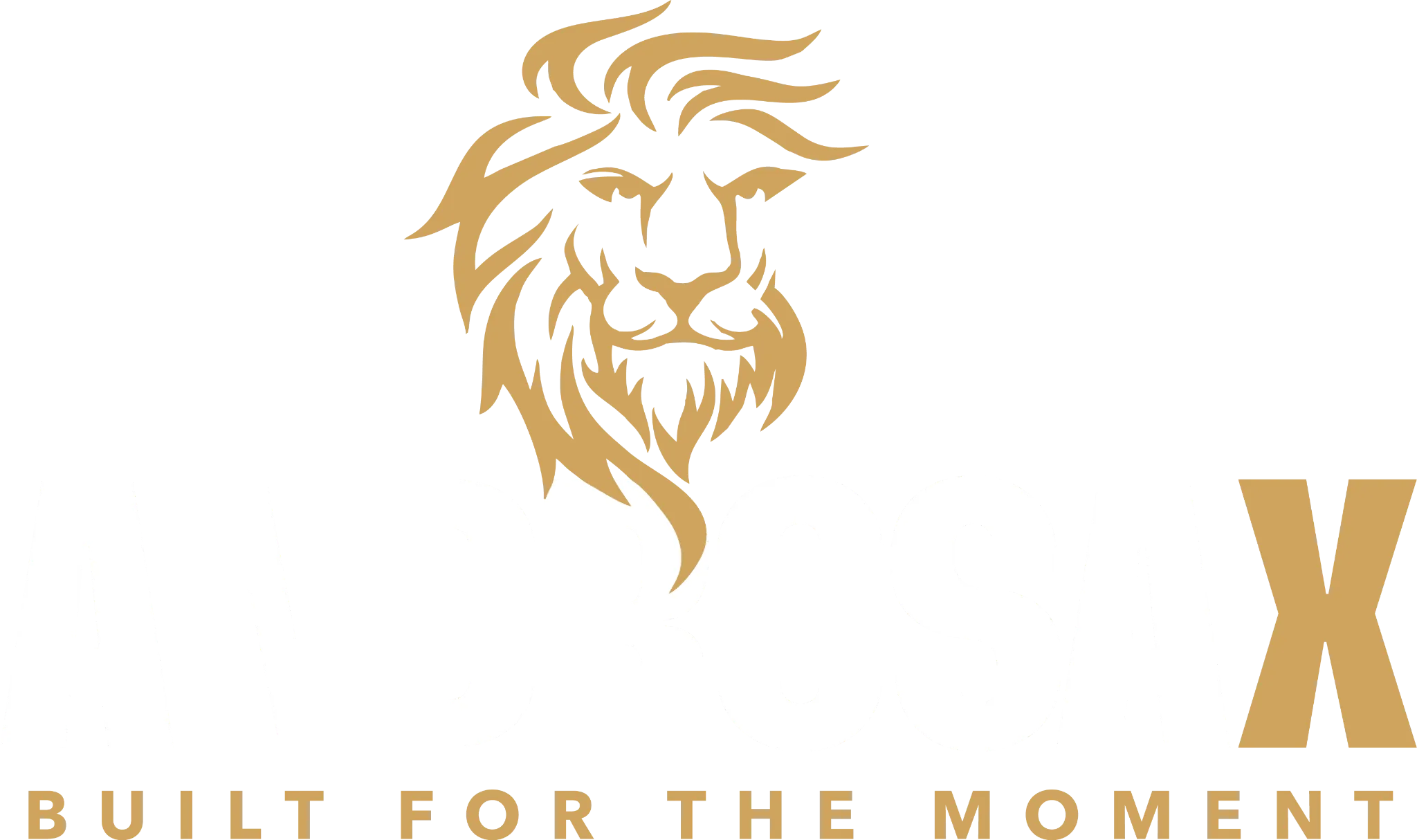 Androsax logo
